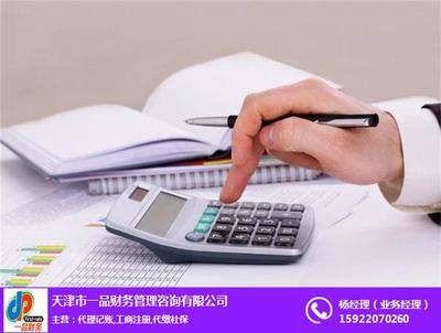銀星財務 專業財務咨詢，賦能企業穩健增長