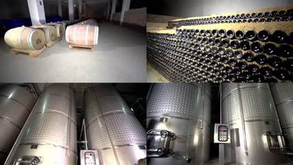 葡萄酒生產葡萄酒生產