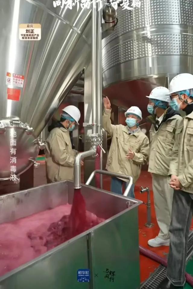 隨董宇輝寧夏行 探秘葡萄酒的誕生，品味杯中人生百味